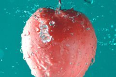 AppelFresh-Delicious-web_011